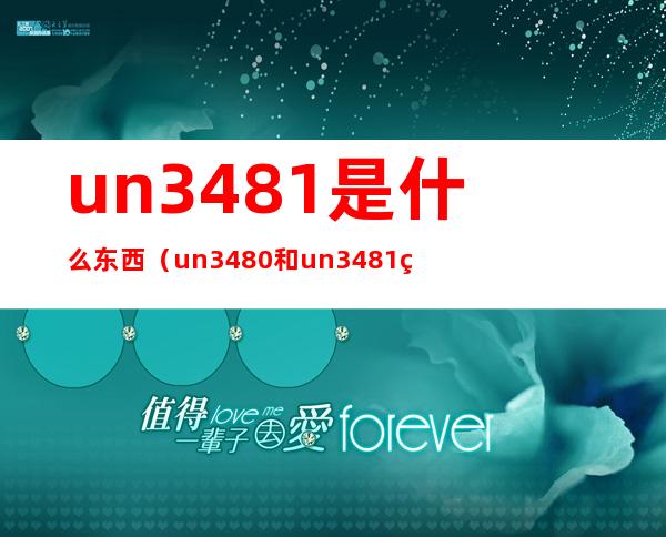 un3481是什么东西（un3480和un3481的区别）