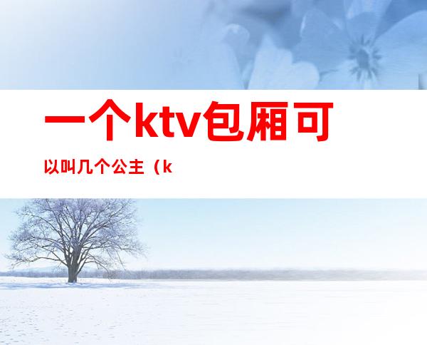 一个ktv包厢可以叫几个公主（ktv做包厢公主）