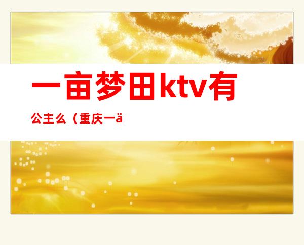 一亩梦田ktv有公主么（重庆一亩梦田ktv）