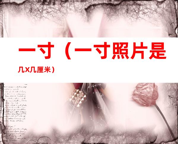 一寸（一寸照片是几X几厘米）