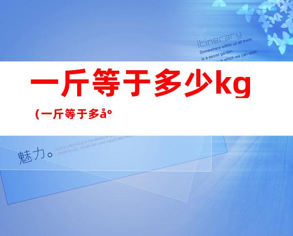 一斤等于多少kg（一斤等于多少Kg）