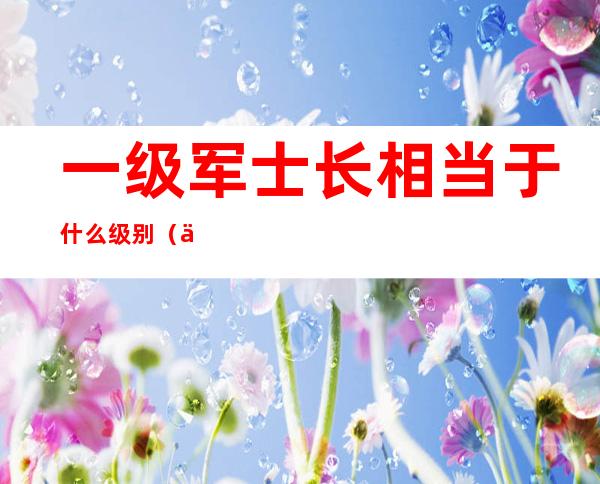 一级军士长相当于什么级别（一级军士长相当于军官什么级别）