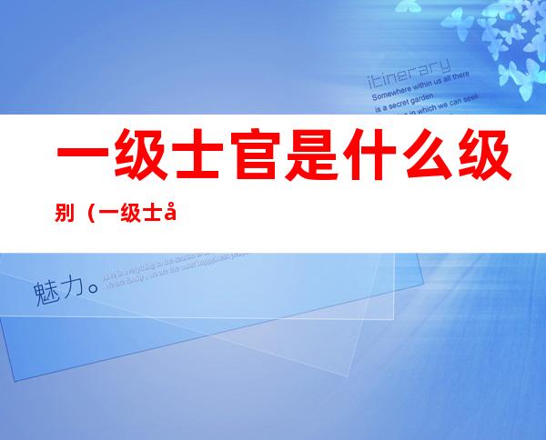 一级士官是什么级别（一级士官是什么级别一级军士长有）