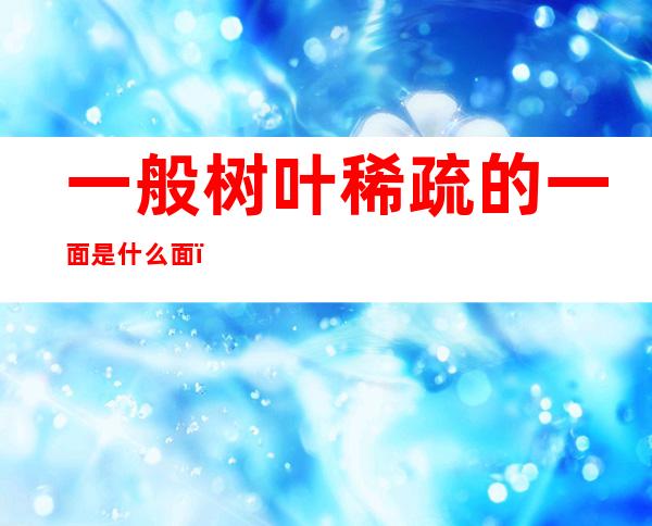 一般树叶稀疏的一面是什么面（比如树叶稀疏的一面是什么面）