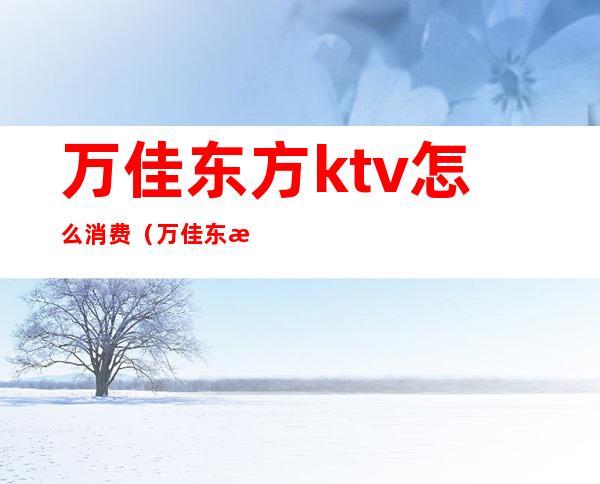 万佳东方ktv怎么消费（万佳东方ktv怎么消费的）