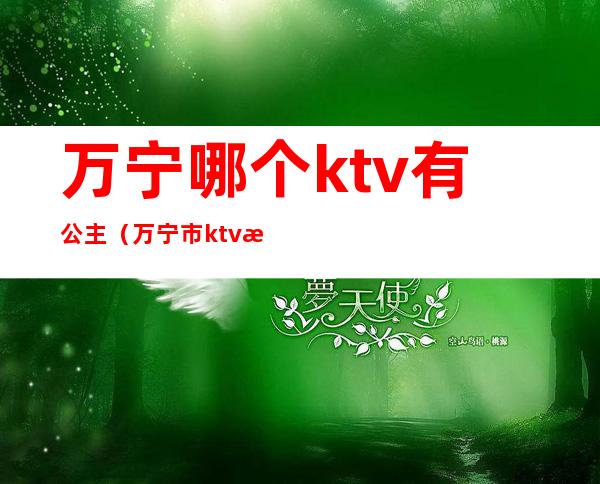 万宁哪个ktv有公主（万宁市ktv消费高不高）