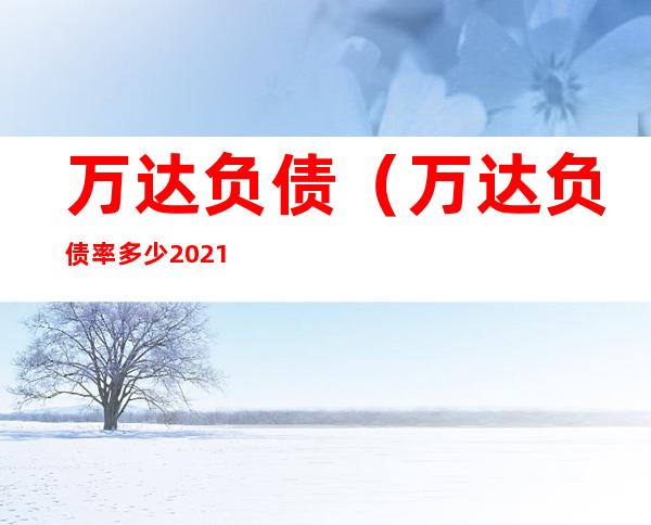 万达负债（万达负债率多少 2021）