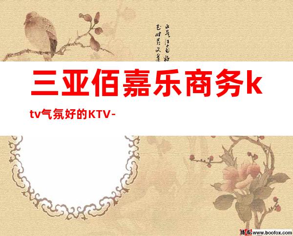 三亚佰嘉乐商务ktv气氛好的KTV-三亚性价比高的ktv – 三亚崖城商务KTV