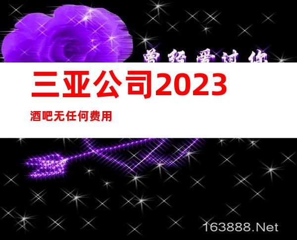 三亚公司2023酒吧无任何费用