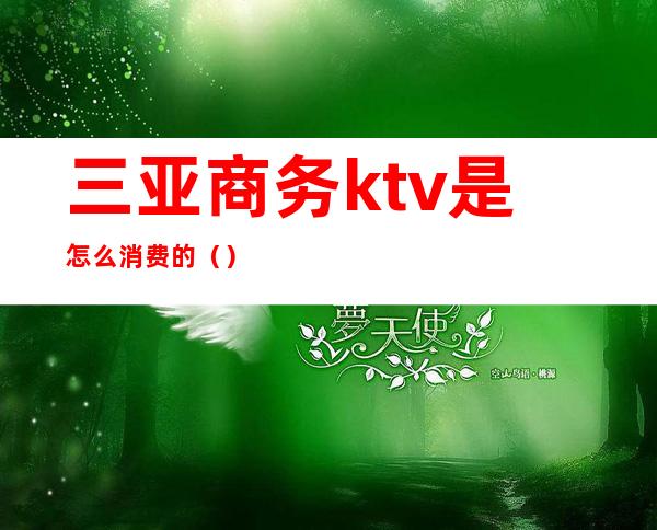 三亚商务ktv是怎么消费的（）