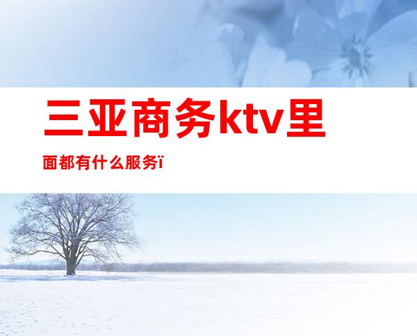 三亚商务ktv里面都有什么服务（三亚 最高档 商务 ktv）