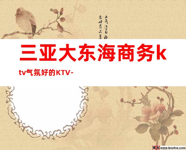 三亚大东海商务ktv气氛好的KTV-三亚 的ktv – 三亚海棠湾商务KTV