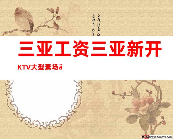 三亚工资三亚新开KTV大型素场优质服务员