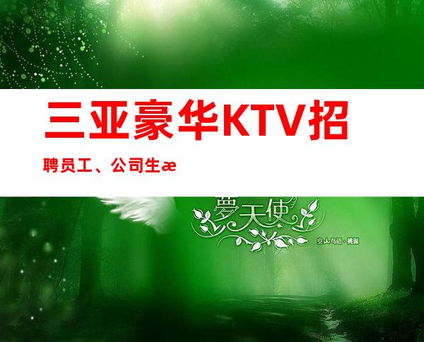 三亚豪华KTV招聘员工、公司生意好巨多起