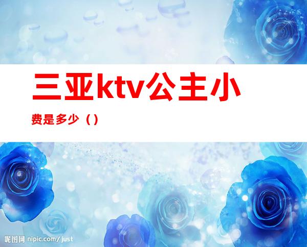 三亚ktv公主小费是多少（）