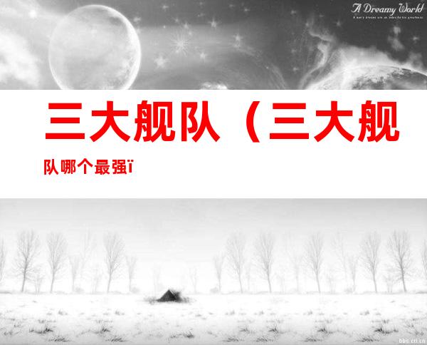 三大舰队（三大舰队哪个最强）