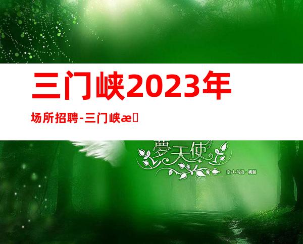 三门峡2023年场所招聘-三门峡更豪华夜总会招聘更高素场服务员