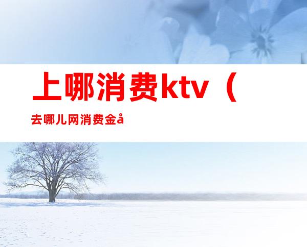 上哪消费ktv（去哪儿网消费金在哪）