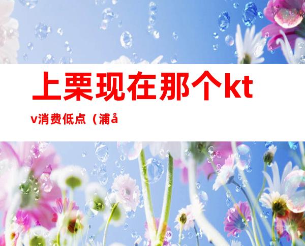 上栗现在那个ktv消费低点（浦北县ktv最低消费）