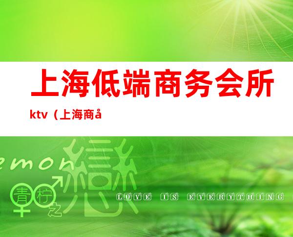 上海低端商务会所ktv（上海 商务会所）