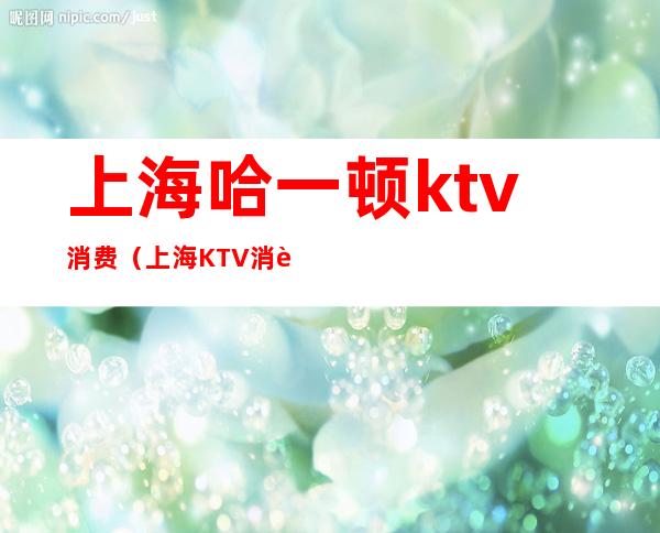 上海哈一顿ktv消费（上海KTV消费12万）