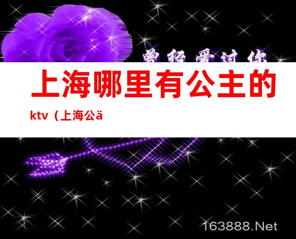 上海哪里有公主的ktv（上海公主城堡在哪里）