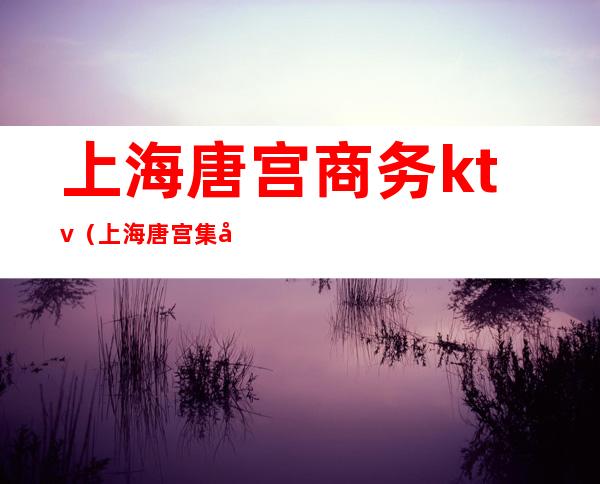 上海唐宫商务ktv（上海唐宫集团）