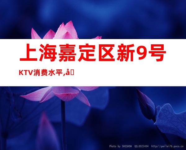 上海嘉定区新9号KTV消费水平,几块的,怎么样？