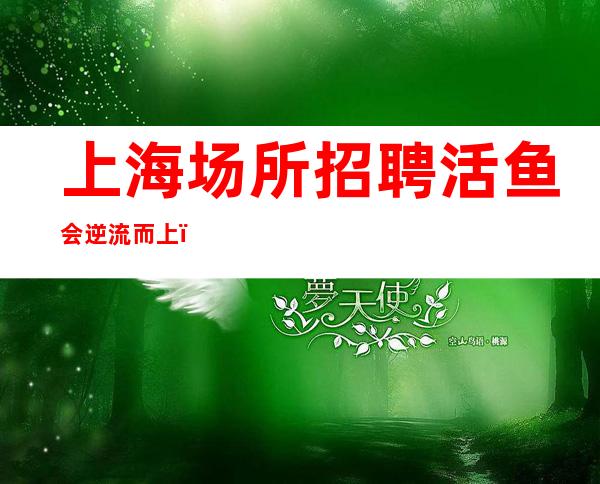 上海场所招聘 活鱼会逆流而上，死鱼才会随波逐流！