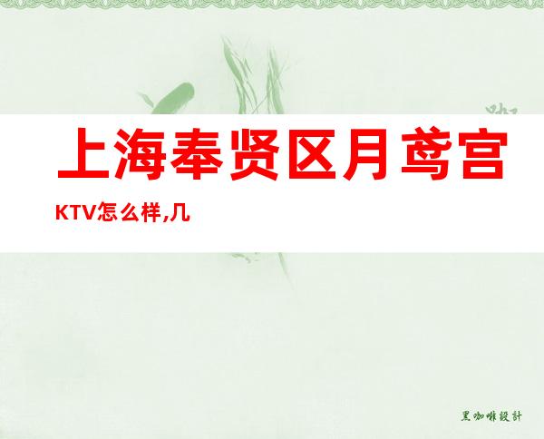 上海奉贤区月鸢宫KTV怎么样,几块的,包厢消费环境一览表！