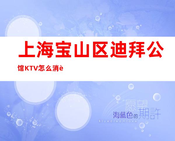 上海宝山区迪拜公馆KTV怎么消费-环境一览表-透明消费