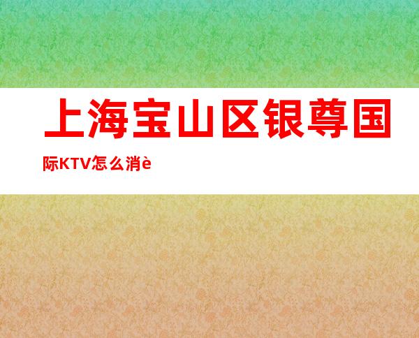 上海宝山区银尊国际KTV怎么消费-人均消费-安排到位