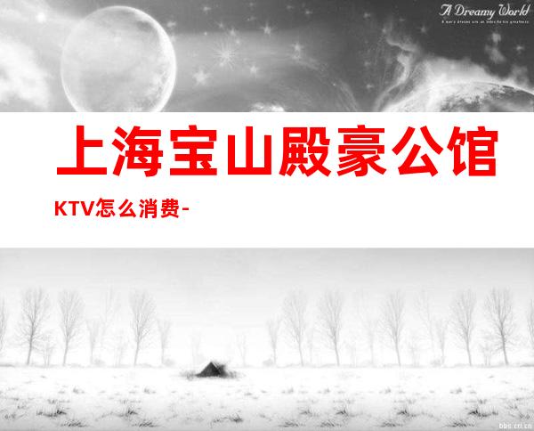 上海宝山殿豪公馆KTV怎么消费-预订攻略-酒水环境