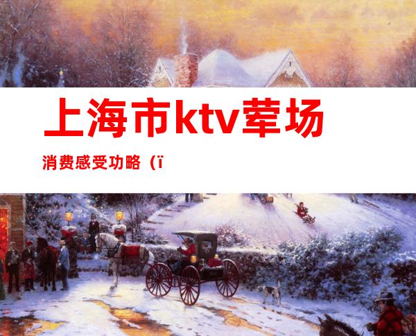 上海市ktv荤场消费感受功略（）