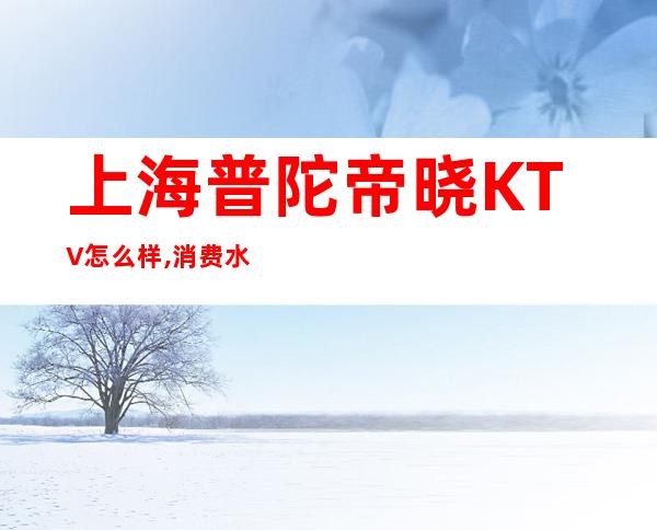 上海普陀帝晓KTV怎么样,消费水平,几块的,好玩不？