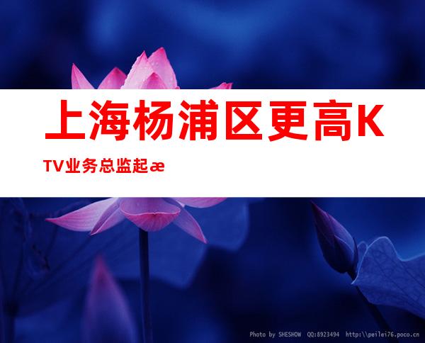 上海杨浦区更高KTV业务总监起拎包上班更高直招