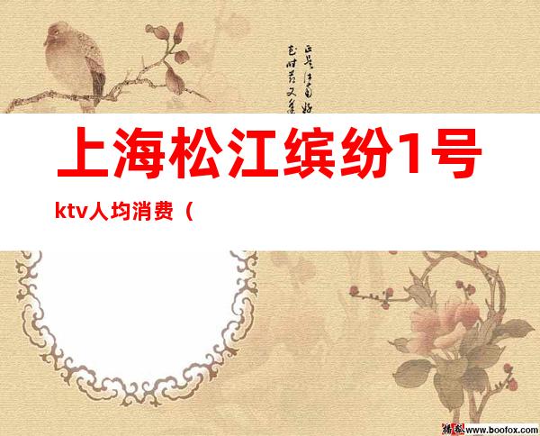 上海松江缤纷1号ktv人均消费（）