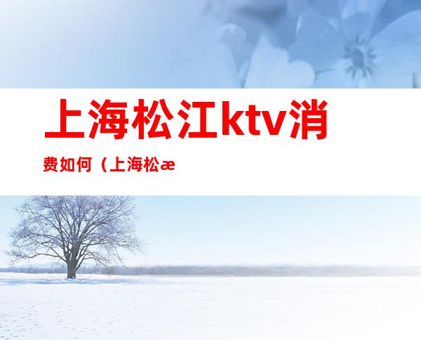 上海松江ktv消费如何（上海松江ktv消费如何算）