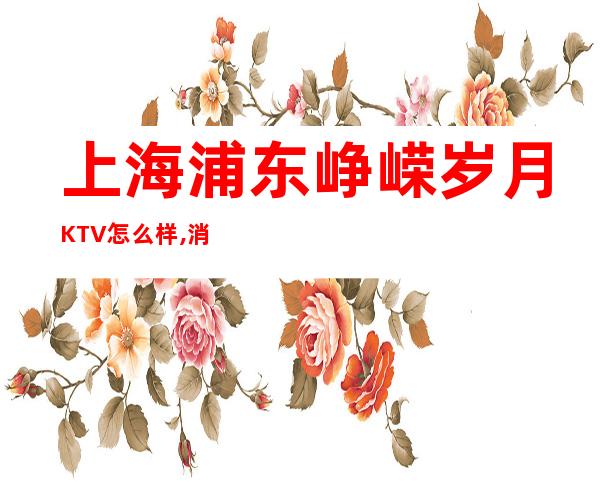 上海浦东峥嵘岁月KTV怎么样,消费水平,几块的,好玩吗