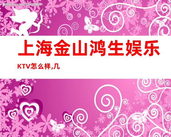 上海金山鸿生娱乐KTV怎么样,几块的,好玩吗？