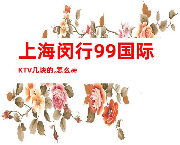 上海闵行99国际KTV几块的,怎么样,怎么收费？