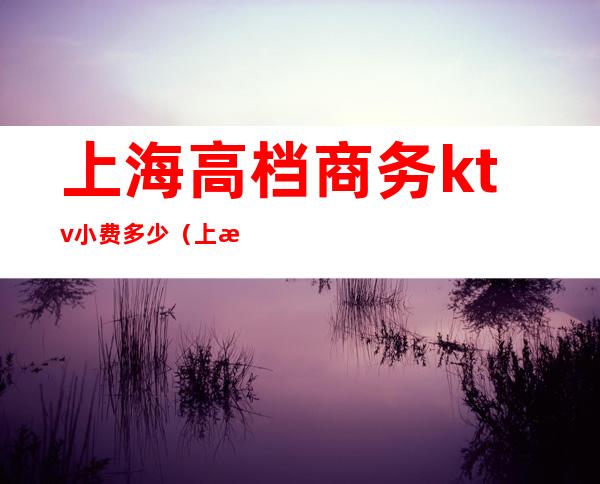 上海高档商务ktv小费多少（上海最贵的商务ktv）