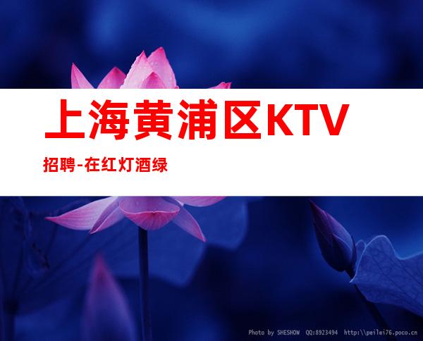 上海黄浦区KTV招聘-在红灯酒绿的世界等你夜总会