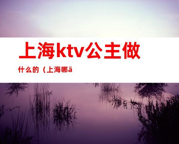 上海ktv公主做什么的（上海哪个ktv可以叫公主）