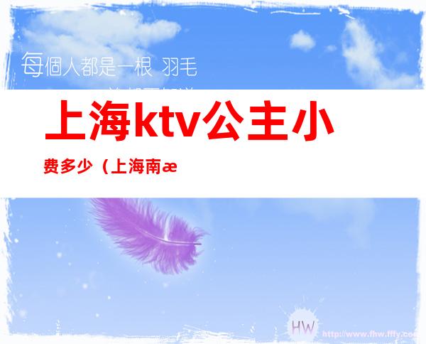 上海ktv公主小费多少（上海南桥ktv公主小费多少）