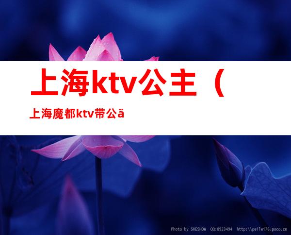 上海ktv公主（上海魔都ktv带公主消费标准）