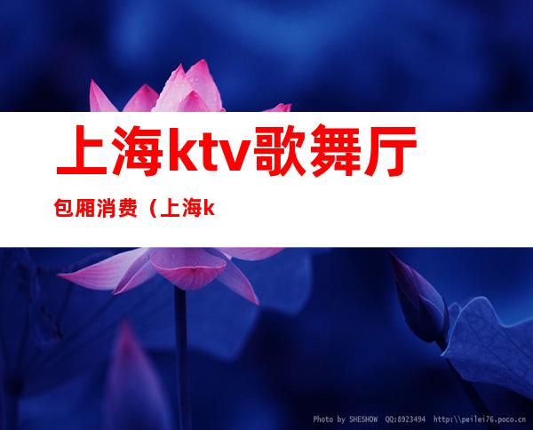 上海ktv歌舞厅包厢消费（上海 ktv 3块）