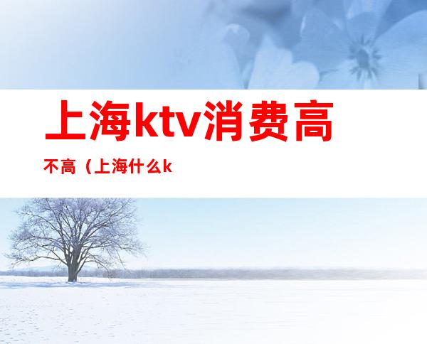 上海ktv消费高不高（上海什么ktv好）