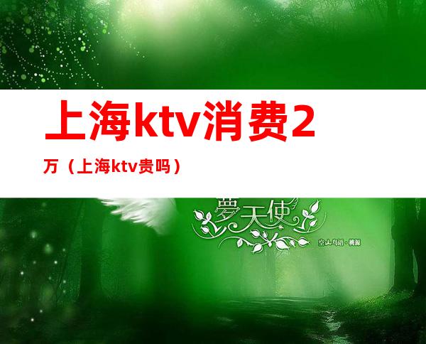 上海ktv消费2万（上海ktv贵吗）