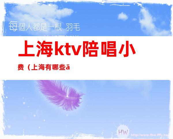 上海ktv陪唱小费（上海有哪些便宜陪唱KTV）